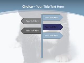 Unit Conditioner White PowerPoint Template
