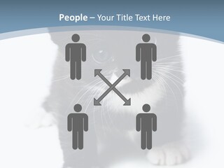 Unit Conditioner White PowerPoint Template