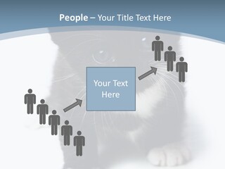 Unit Conditioner White PowerPoint Template