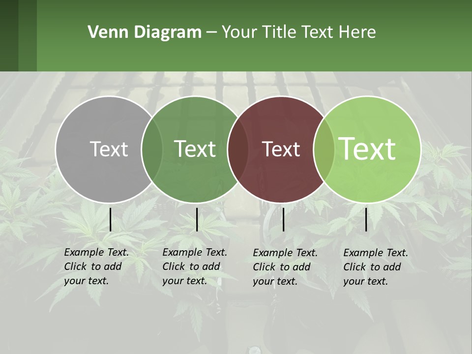 Cold Electric Air PowerPoint Template
