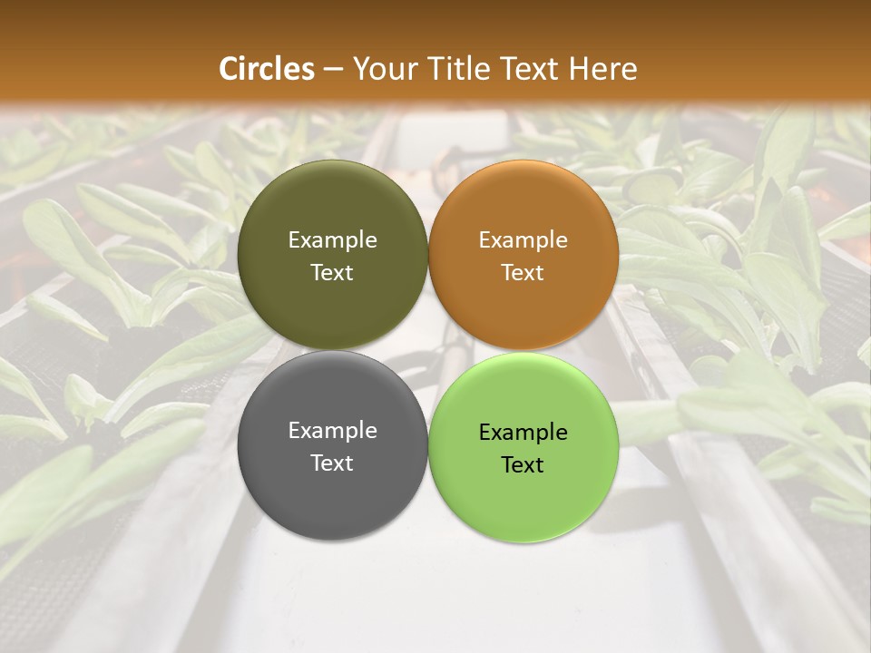 Technology Remote System PowerPoint Template