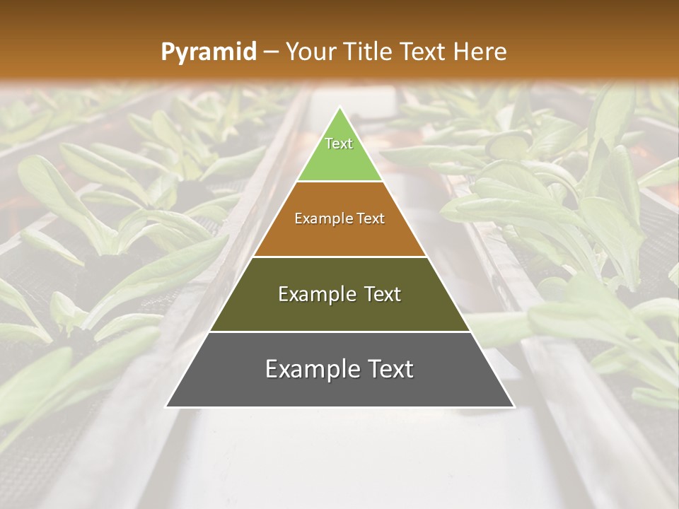 Technology Remote System PowerPoint Template