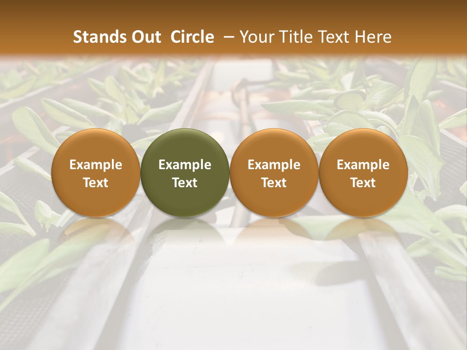 Technology Remote System PowerPoint Template