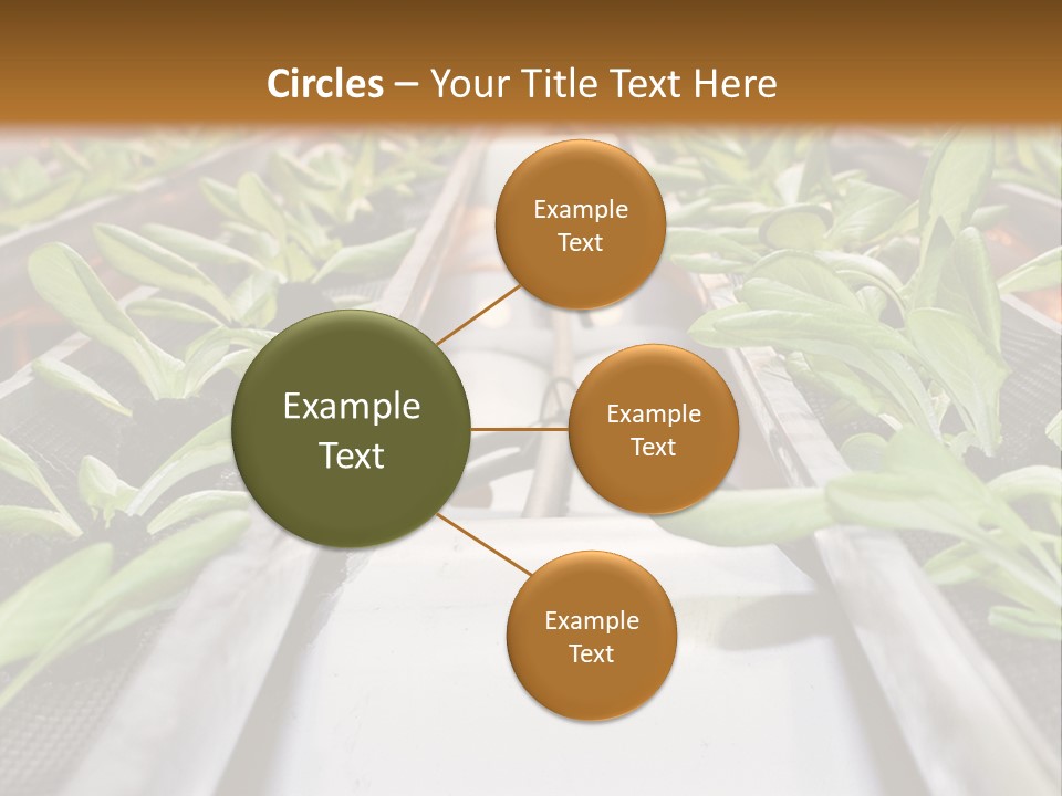 Technology Remote System PowerPoint Template