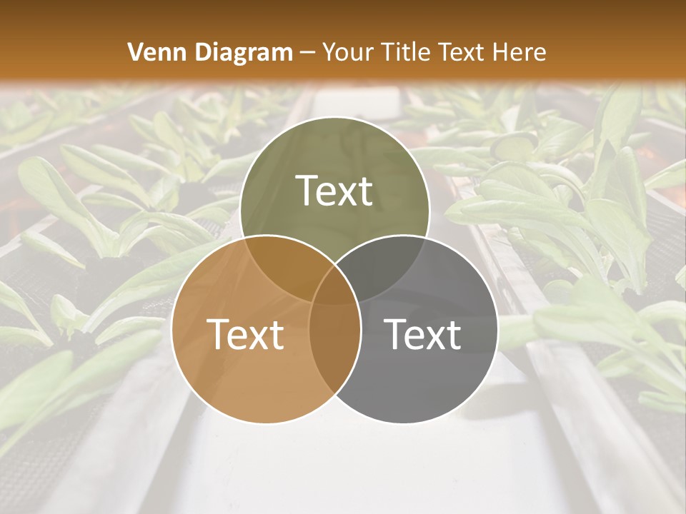 Technology Remote System PowerPoint Template