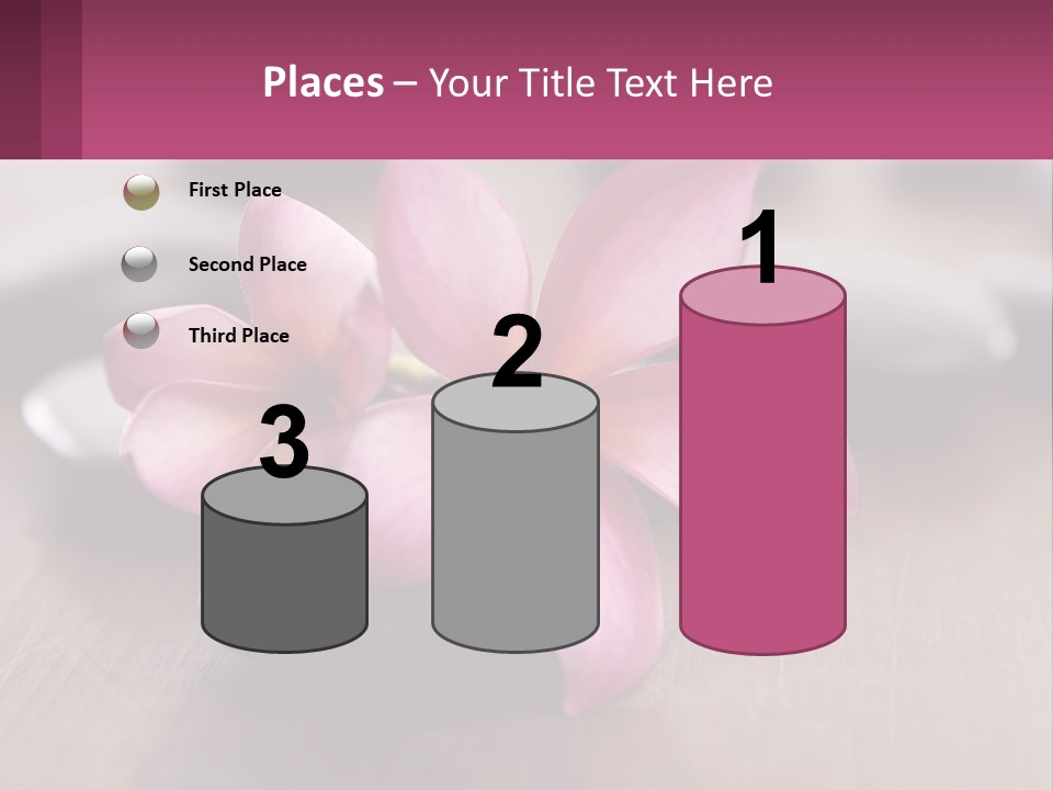 Power System Conditioner PowerPoint Template