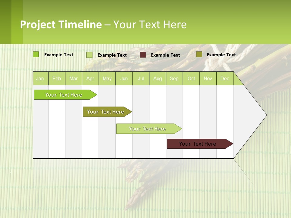 Equipment Switch Electric PowerPoint Template