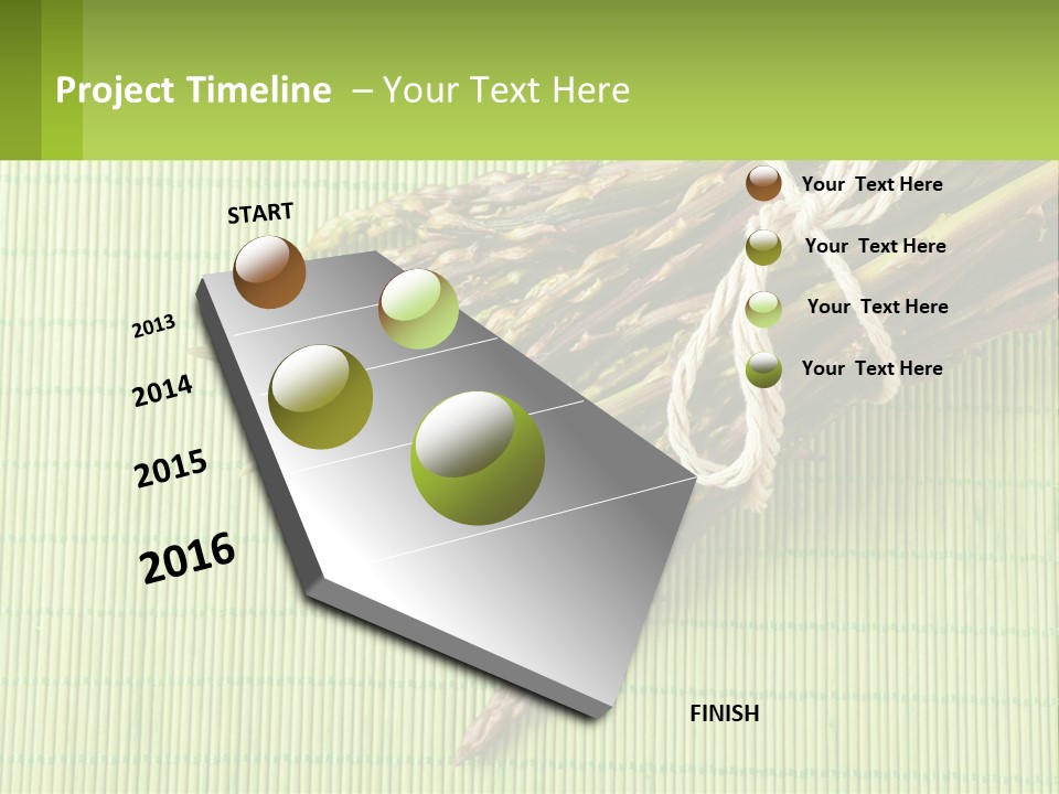 Equipment Switch Electric PowerPoint Template