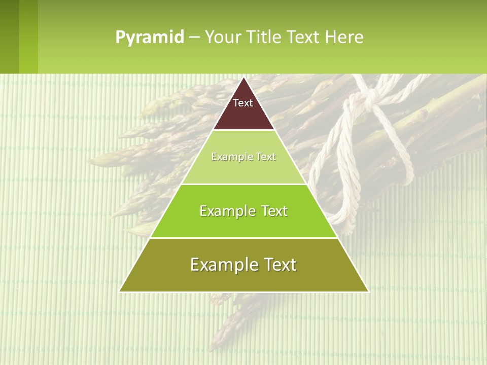 Equipment Switch Electric PowerPoint Template