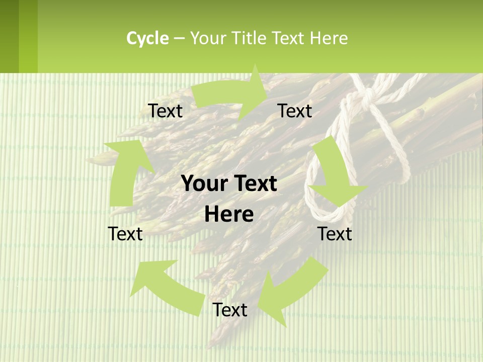 Equipment Switch Electric PowerPoint Template