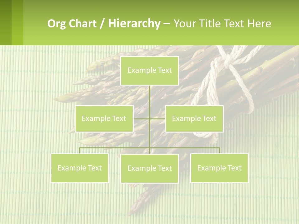 Equipment Switch Electric PowerPoint Template
