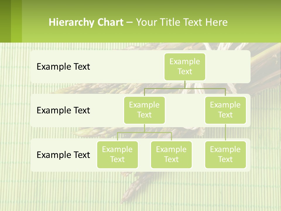 Equipment Switch Electric PowerPoint Template