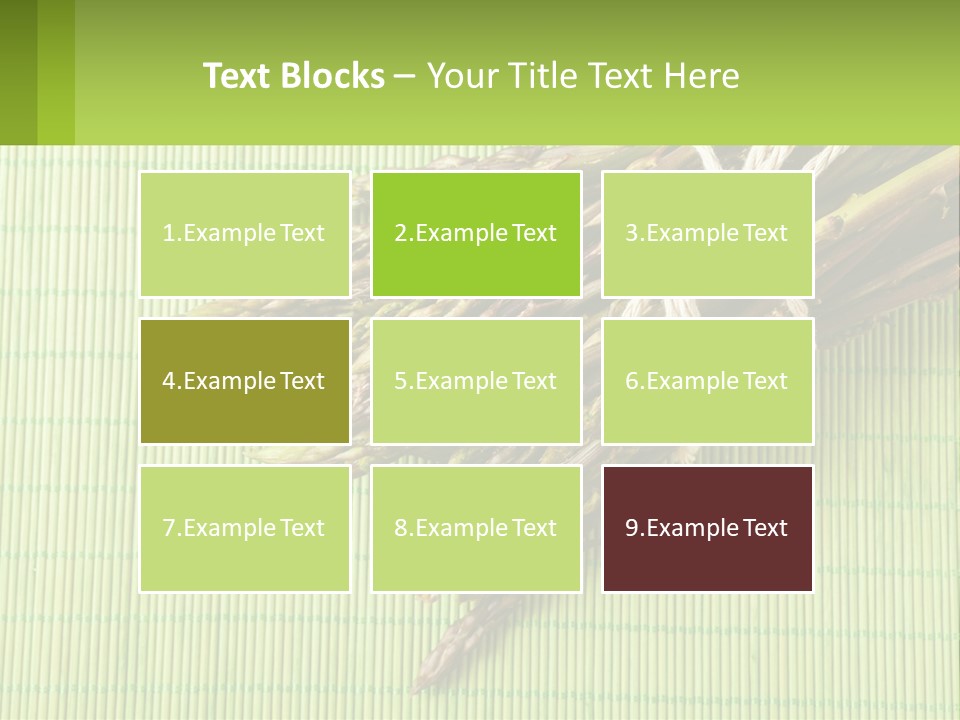 Equipment Switch Electric PowerPoint Template