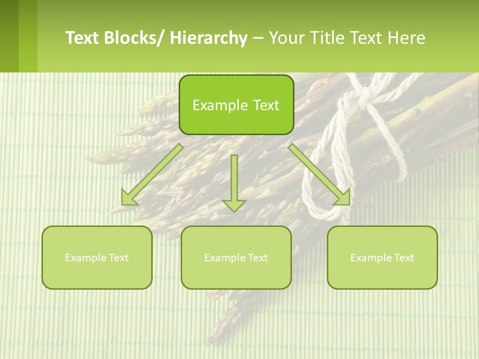 Equipment Switch Electric PowerPoint Template