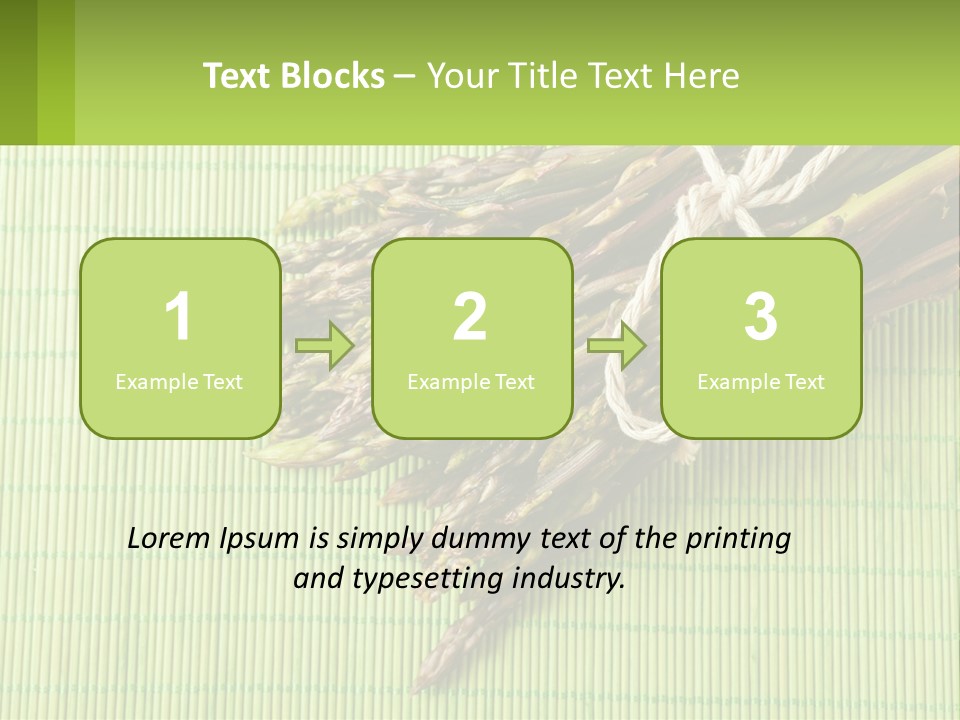 Equipment Switch Electric PowerPoint Template