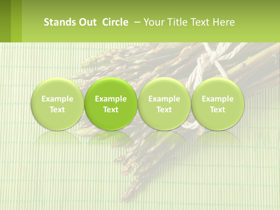 Equipment Switch Electric PowerPoint Template