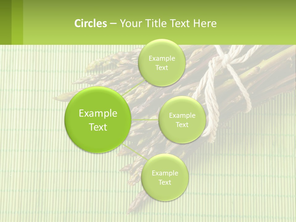 Equipment Switch Electric PowerPoint Template