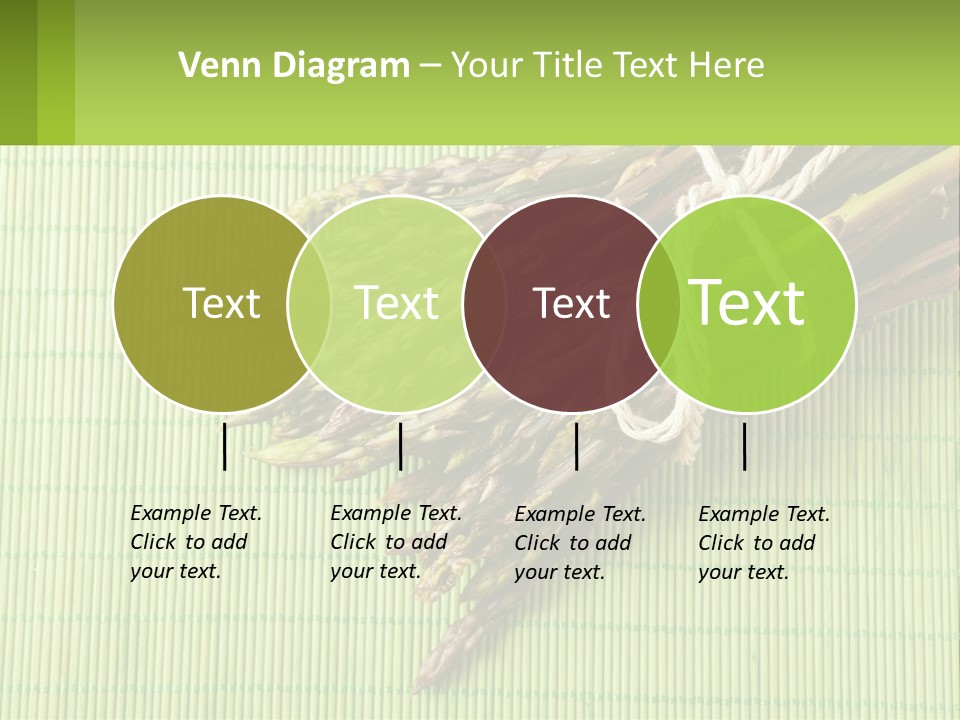 Equipment Switch Electric PowerPoint Template