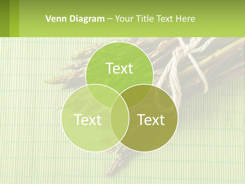 Equipment Switch Electric PowerPoint Template