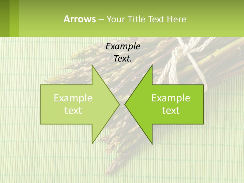 Equipment Switch Electric PowerPoint Template