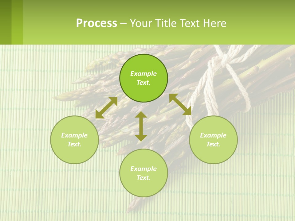 Equipment Switch Electric PowerPoint Template