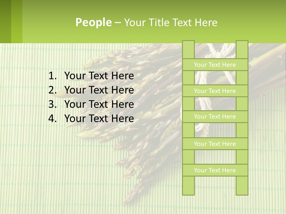 Equipment Switch Electric PowerPoint Template