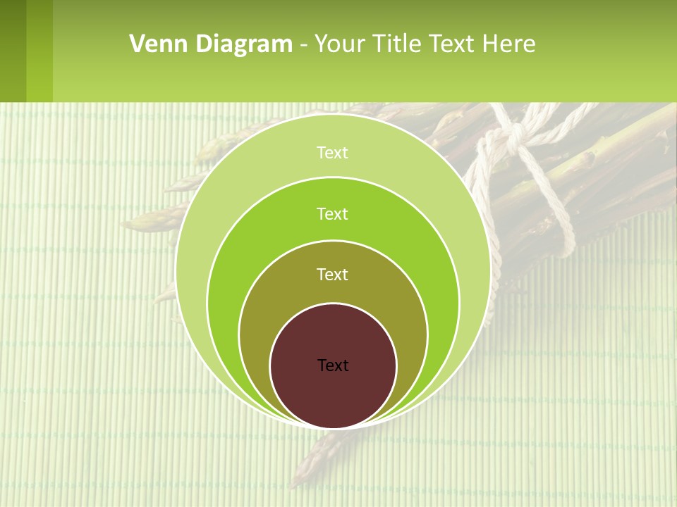 Equipment Switch Electric PowerPoint Template