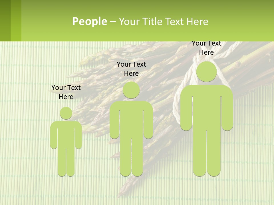 Equipment Switch Electric PowerPoint Template