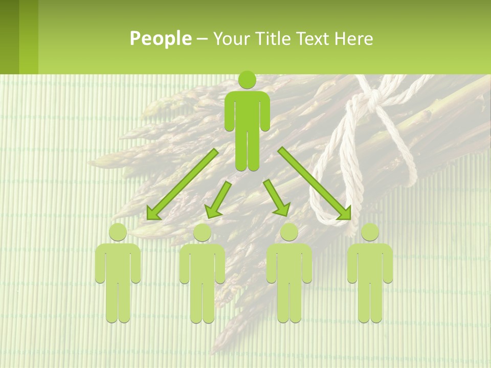 Equipment Switch Electric PowerPoint Template