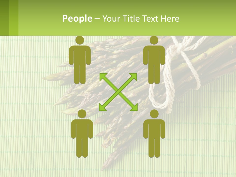 Equipment Switch Electric PowerPoint Template