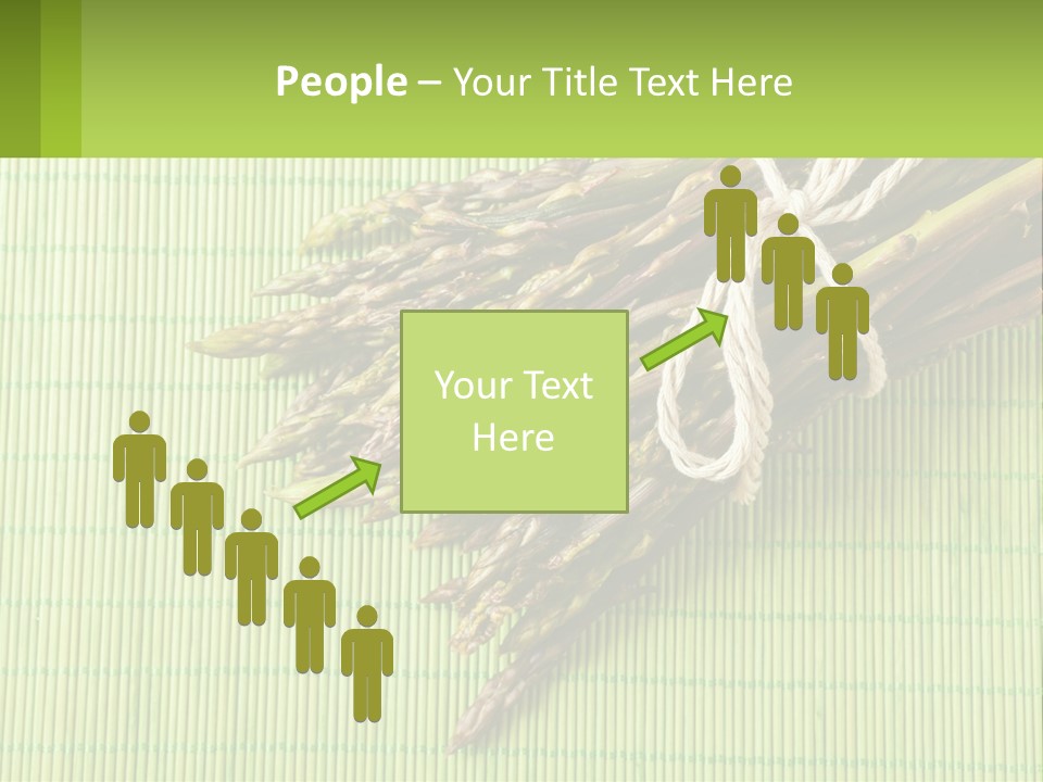 Equipment Switch Electric PowerPoint Template