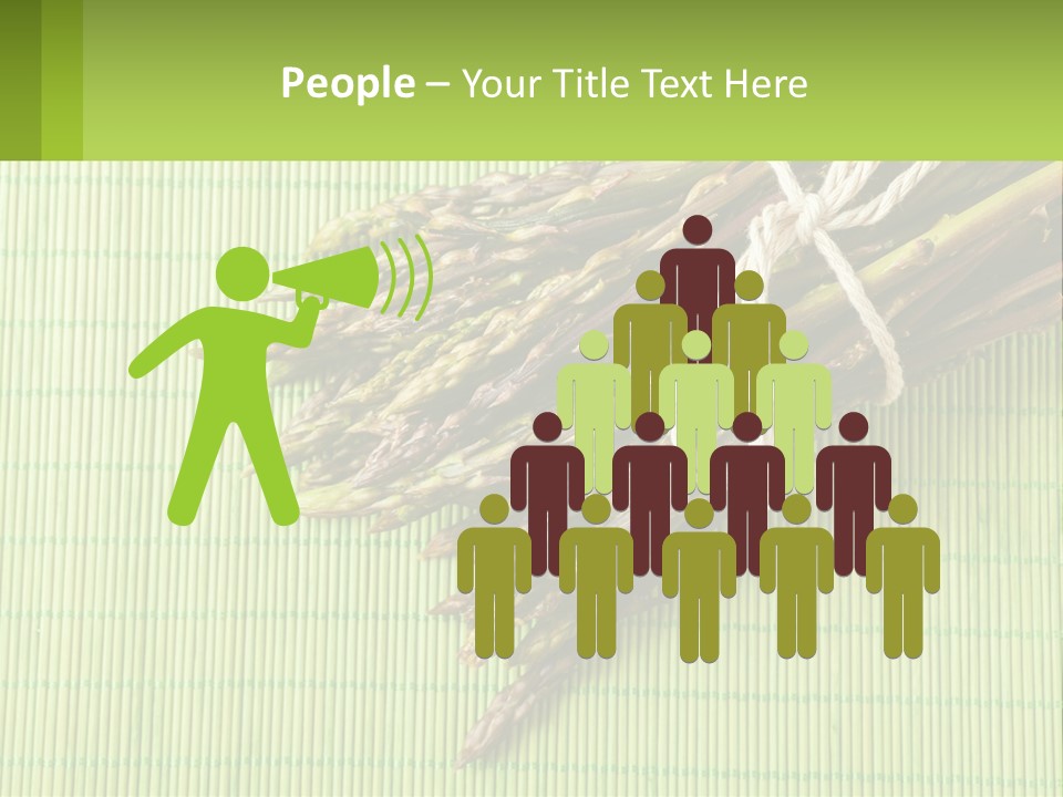 Equipment Switch Electric PowerPoint Template