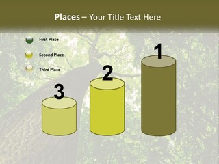 Supply Power Part PowerPoint Template