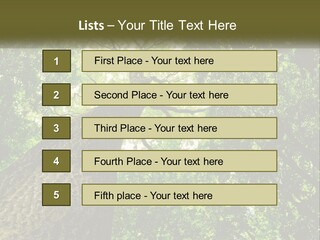 Supply Power Part PowerPoint Template