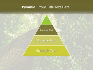 Supply Power Part PowerPoint Template