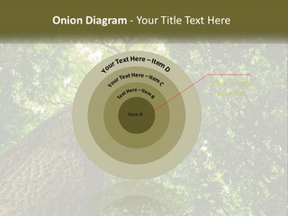 Supply Power Part PowerPoint Template