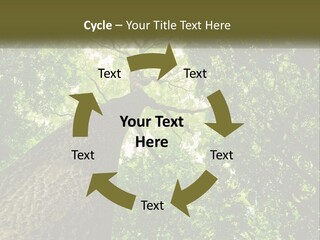 Supply Power Part PowerPoint Template