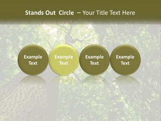 Supply Power Part PowerPoint Template