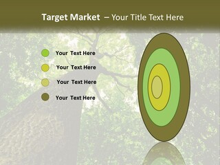 Supply Power Part PowerPoint Template