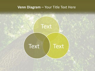 Supply Power Part PowerPoint Template