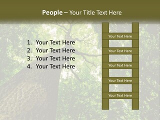 Supply Power Part PowerPoint Template