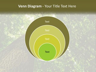 Supply Power Part PowerPoint Template