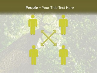 Supply Power Part PowerPoint Template