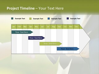 Air Switch House PowerPoint Template