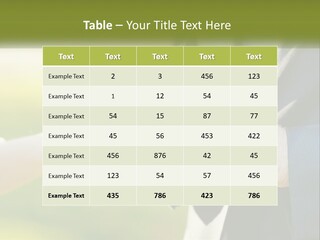 Air Switch House PowerPoint Template