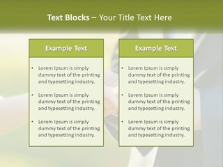 Air Switch House PowerPoint Template