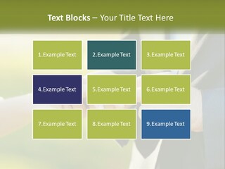 Air Switch House PowerPoint Template