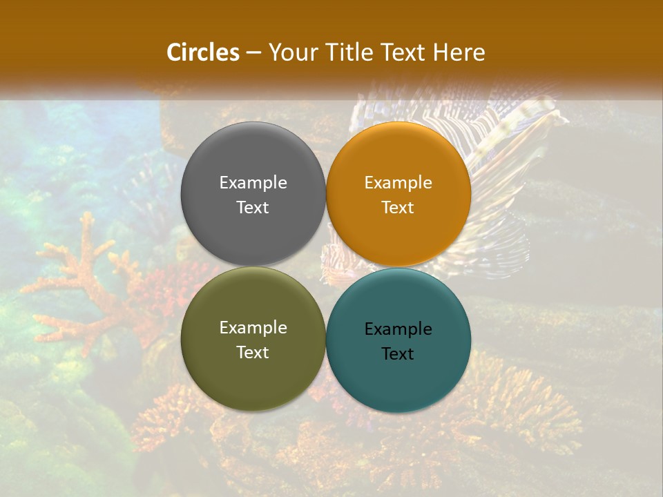 Unit Energy Part PowerPoint Template
