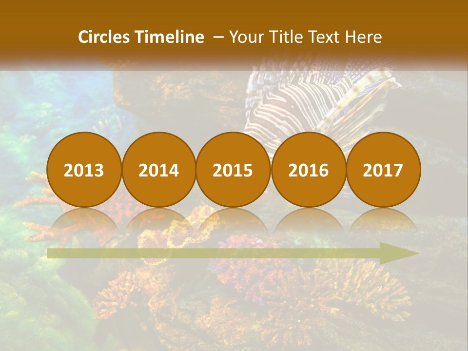 Unit Energy Part PowerPoint Template