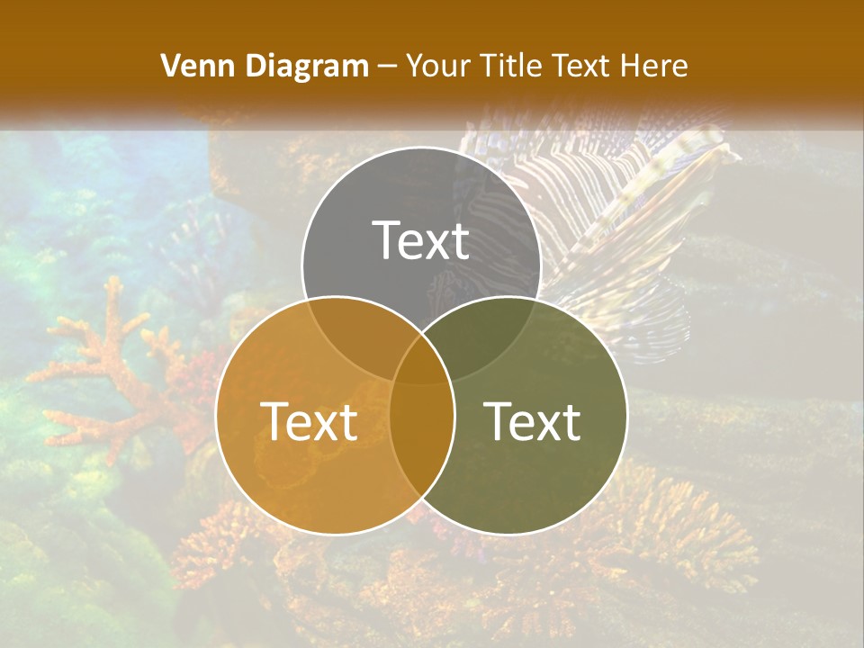 Unit Energy Part PowerPoint Template